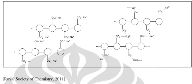 Gambar 2.2. Proses terjadinya tautan silang antara polimer natrium alginat dan ion  kalsium (telah diolah kembali) 