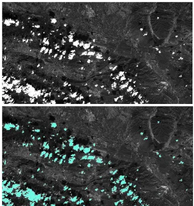 Figure 1.  (top) Initial panchromatic SPOT5-HRS ortho-image. (bottom) The outcomes of our cloud detection algorithm (pixels labelled clouds in blue)