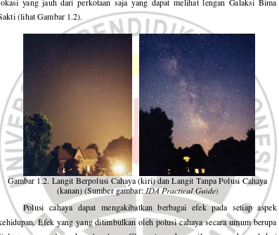 Gambar 1.2. Langit Berpolusi Cahaya (kiri) dan Langit Tanpa Polusi Cahaya (kanan) (Sumber gambar: IDA Practical Guide) 