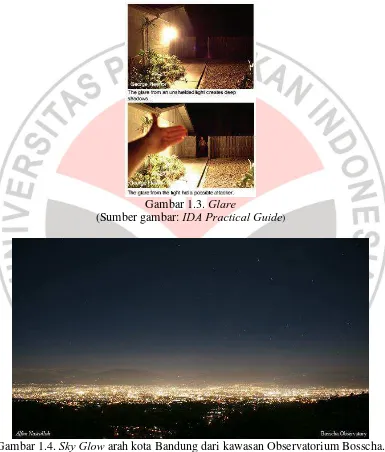Gambar 1.4. Sky Glow arah kota Bandung dari kawasan Observatorium Bosscha. Diambil tanggal 23 Juni 2010 jam 22.00 WIB dengan waktu bukaan 13 detik (Sumber gambar:Alfan Nasrulloh) 