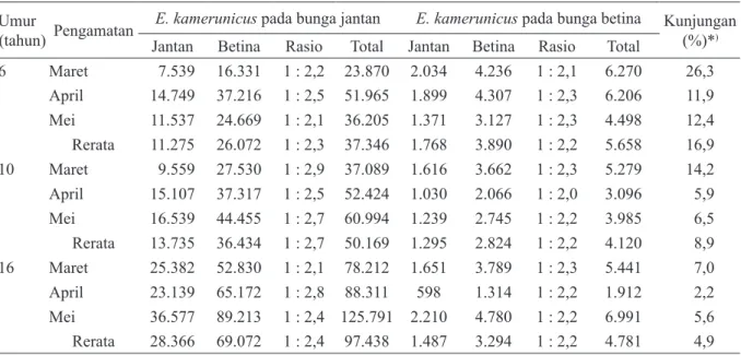 Tabel 2. Populasi dan rasio Elaeidobius kamerunicus jantan dan betina pada bunga jantan dan bunga betina 