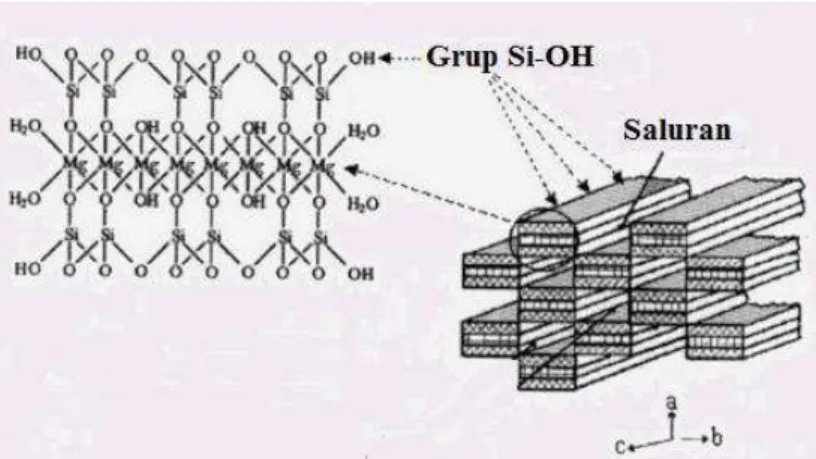Gambar 4 Ilustrasi skematik dari struktur sepiolit (Sabah et al. 2005)   Proses  pembersihan  kotoran  oleh  tanah  merupakan  hasil  interaksi  antara  mekanisme  fisik  dan  kimiawi,  sebagaimana  mekanisme  pemurnian  minyak  dengan  menggunakan  bleach