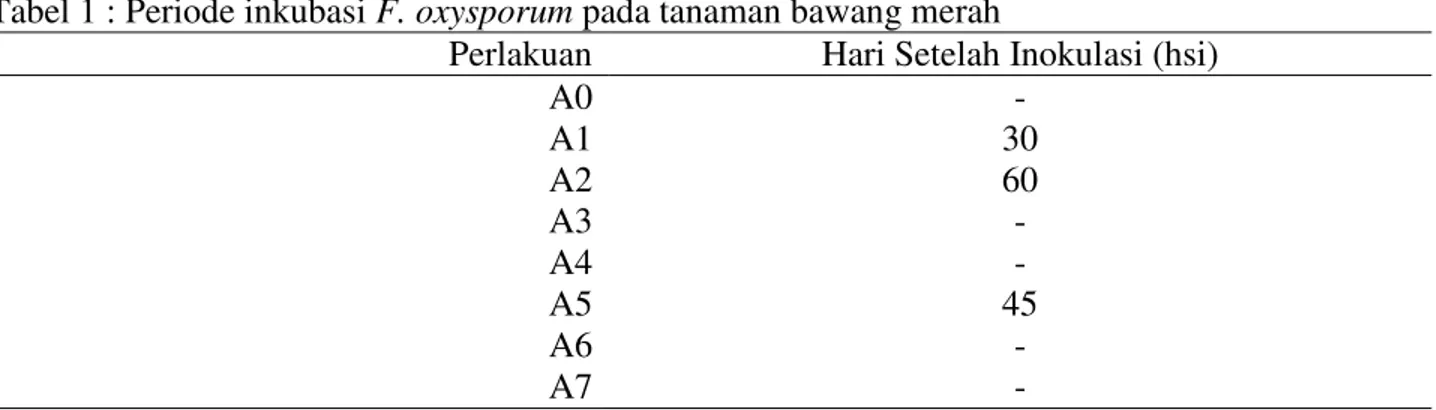 Tabel 1 : Periode inkubasi F. oxysporum pada tanaman bawang merah 