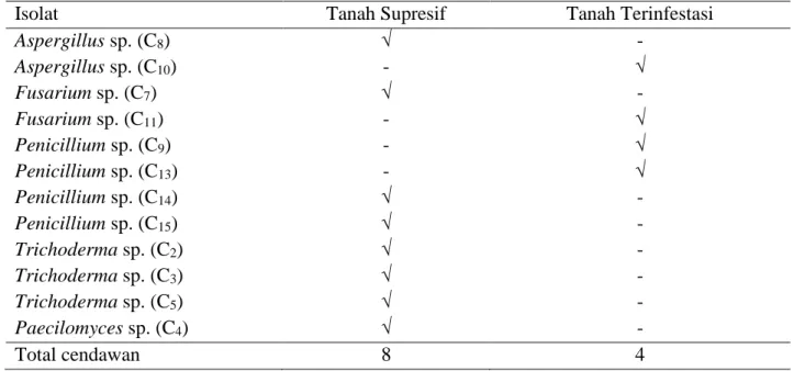 Gambar 3. Kelimpahan cendawan pada tanah terinfestasi Ganoderma sp.