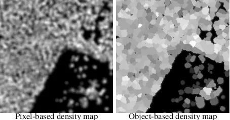 Figure 6). In this paper, only the mean value of the pixels within