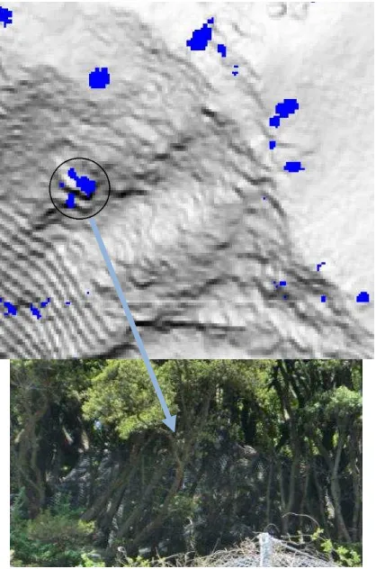 Figure 3. Rock-fall hazard risk map with protruded rock locations 