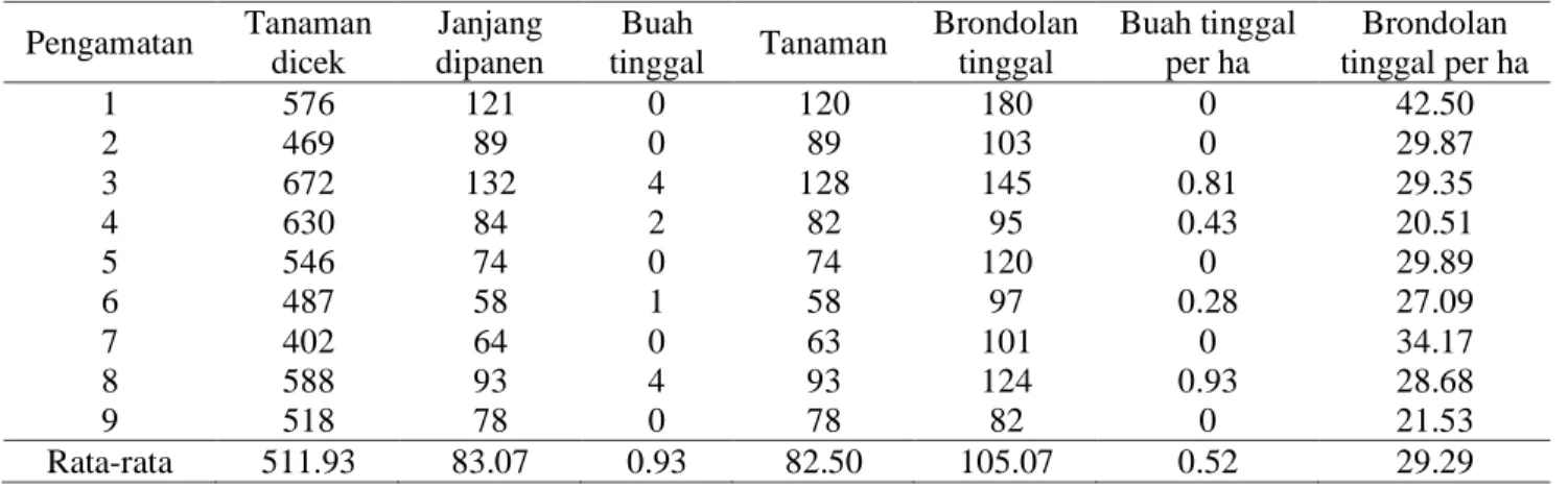 Tabel 11. Kehilangan hasil pada mutu hancak  Pengamatan  Tanaman  dicek  Janjang  dipanen  Buah  tinggal  Tanaman  Brondolan tinggal  Buah tinggal per ha  Brondolan  tinggal per ha  1  576  121  0  120  180  0  42.50  2  469  89  0  89  103  0  29.87  3  6