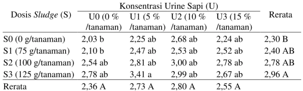 Tabel 4. Rerata rasio tajuk akar  bibit kelapa sawit umur 7 bulan pada perlakukan  sludge  dan urine sapi 