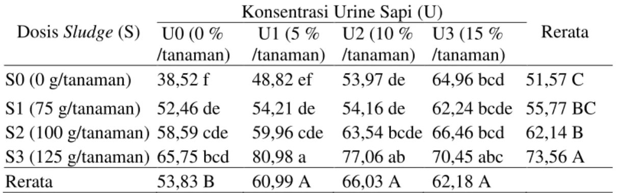 Tabel 5. Rerata berat kering (g) bibit kelapa sawit umur 7 bulan pada perlakukan  sludge  dan urine sapi 