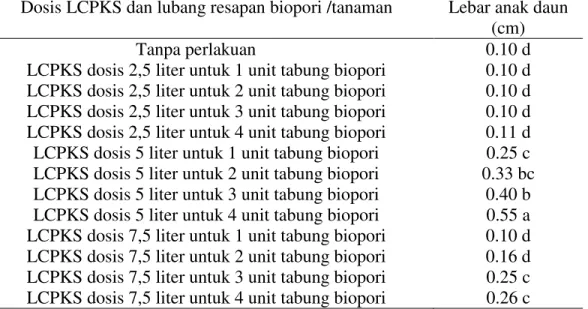 Tabel  4  memperlihatkan  bahwa  aplikasi  LCPKS  dengan  lubang  resapan  biopori  memberikan  pengaruh  yang  baik  terhadap  pertumbuhan  lebar  anak  daun  tanaman  kelapa  sawit  umur  21  bulan  sampai  24  bulan