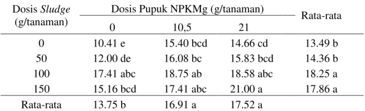 Tabel  1.  Rata-rata  pertambahan  jumlah  daun  bibit  (cm)  kelapa  sawit  umur  6  bulan dengan pemberian sludge dan pupuk NPKMg  
