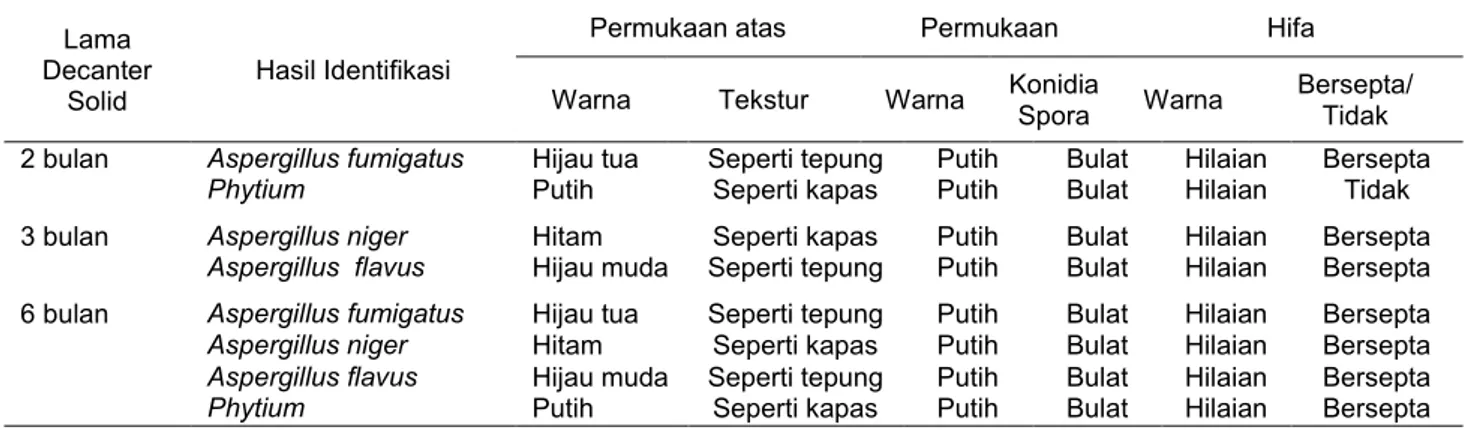 Tabel 1.Hasil identifikasi kapang  pada limbah decanter solid kelapa sawit 