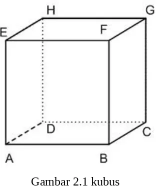 Gambar 2.1 kubus