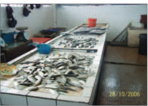 Gambar 13: Kemudahan pasar ikan di Pekan Sipitang