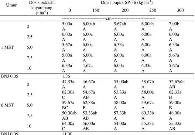 Tabel  1.  Rata-rata  tinggi  tanaman  okra  yang  diberi  bokashi  kayambang  dan  pupuk  fosfor  dengan  dosis yang berbeda  