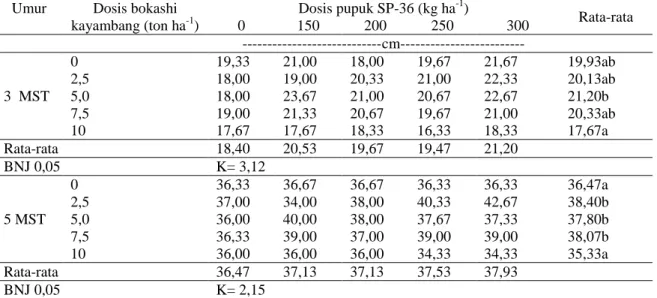 Tabel  2.  Rata-rata  tinggi  tanaman  okra  yang  diberi  bokashi  kayambang  dan  pupuk  fosfor  dengan  dosis yang berbeda  
