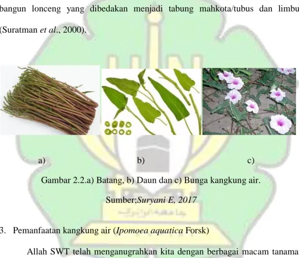 Gambar 2.2.a) Batang, b) Daun dan c) Bunga kangkung air.  Sumber;Suryani E, 2017 