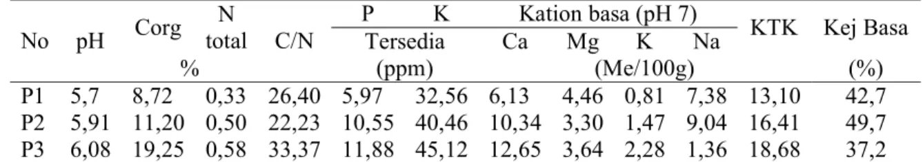 Tabel 3. Analisis tanah akhir pada lahan sub optimal  No  pH  Corg 
