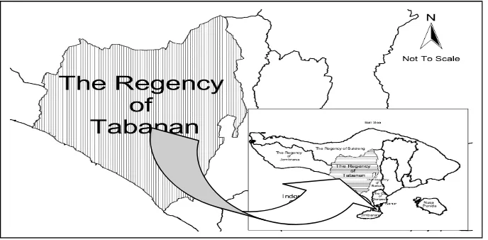 Figure 1. Case study area – the regency of Tabanan, Bali Province 