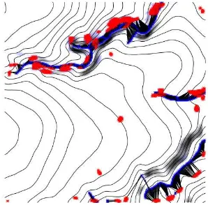 Figure 9: The lines represent the minimum distance between blue points with high concentrated ﬂow from the reference and redpoints with high concentrated ﬂow from the mean depth of digitally sculpted models