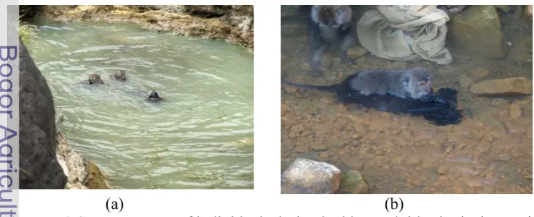 Figure II.3 Some postures of individuals during bathing activities in the hot-spring     