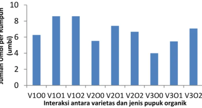 Tabel 3a. Pengaruh perlakuan varietas terhadap jumlah    umbi per rumpun bawang  merah (umbi) 