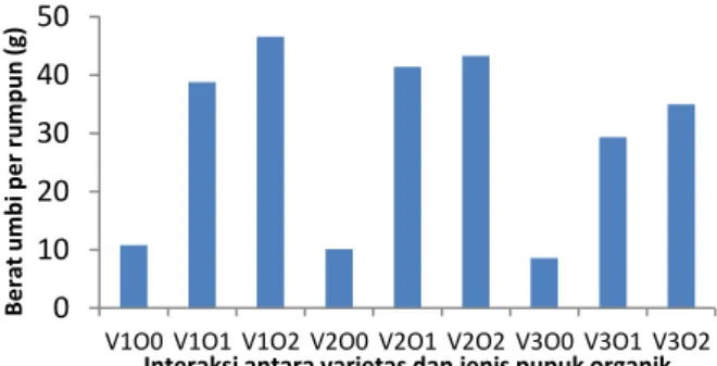 Tabel  5a.  Pengaruh  perlakuan  varietas  terhadap  berat  umbi per petak bawang merah (g)