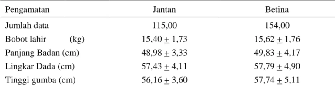Tabel 1. Bobot Lahir dan Ukuran Tubuh sapi Bali  