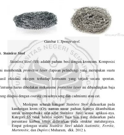 Gambar 1. Sponge steel. 