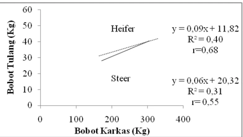 Gambar 4. Hubungan antara bobot karkas dengan bobot lemak heifer dan steer  Gambar  3  dan  4  menunjukkan 