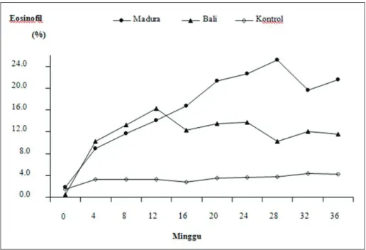 Gambar 4. Rataan jumlah eosinofil (%)  dari sapi Bali dan Madura  setelah diinfeksi  