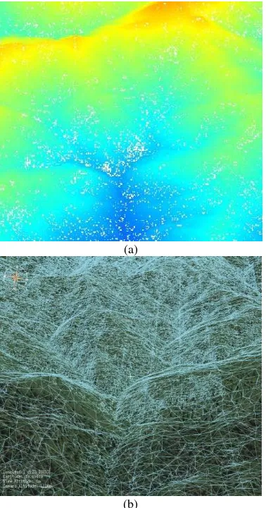 Figure 6. Multi-resolution TIN surface modelling and visualization for LiDAR elevation points