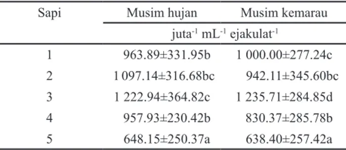 Tabel 8. Konsentrasi spermatozoa sapi pejantan madura di BIB               Lembang pada musim hujan dan musim kemarau 