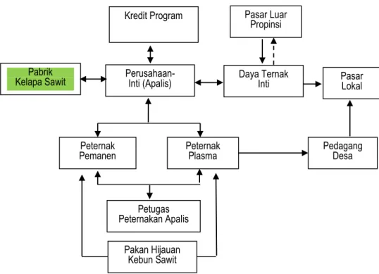 Gambar 1. Model Kemitraan Perusahaan/Inti dan Pemanen/Plasma dalam Pola Integrasi  Sawit-Sapi di Bengkulu, 2009 