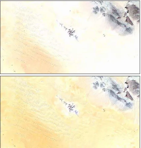 Figure 2. Detail of the Laguna Salada, a dry lake in the Sonoran Desert, before (above) and after (below) desaturation     