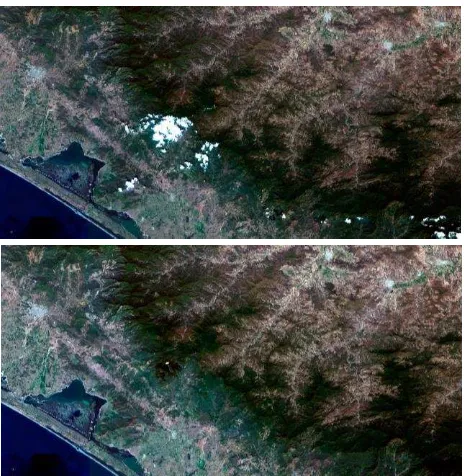 Figure 3. Mosaic prototype (above) vs. cloud stamped version (below); detail from the state of Chiapas 
