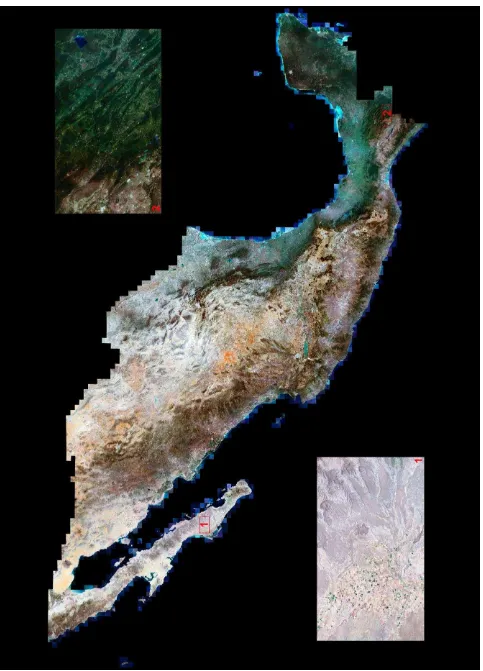 Figure 4. Prototype of the mosaic (incl. 4338 RapidEye scenes), detailing the Baja California Peninsula [1] and the Lacandon Jungle in Chiapas (Published online: http://www.biodiversidad.gob.mx/atlas/mosaico/CONABIO_MosMex_092015_leaflet.html)