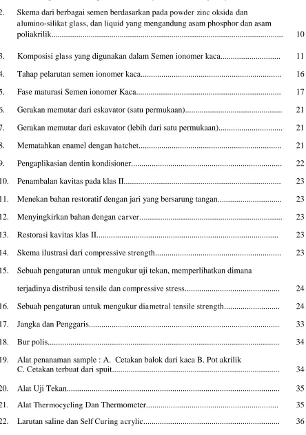 Gambar 1.Mahkota premolar memperlihatkan adanya 3 