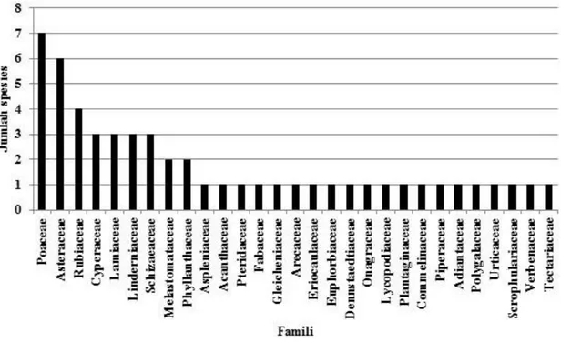 Tabel  1  menunjukkan  bahwa  jumlah  jenis  tumbuhan  bawah  yang  ditemukan  berbanding  terbalik  (berkorelasi negatif) dengan umur tanaman
