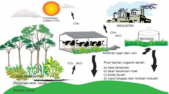 Gambar 2.  Siklus karbon dalam sistem integrasi tanaman ternak   Figure 2.  Carbon cycle in crop livestock integration system 