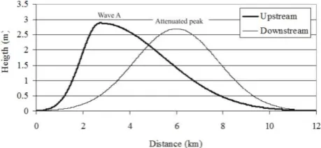 Figure 1.  Example of wave flood calculation. 