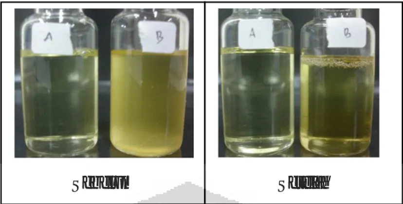 Gambar 4.12. Foto hasil pengamatan organoleptis nanoemulsi glukosamin  sebelum dan setelah Cycling test 
