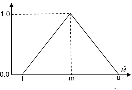 Figure 1. A Triangular Fuzzy Number,  M~