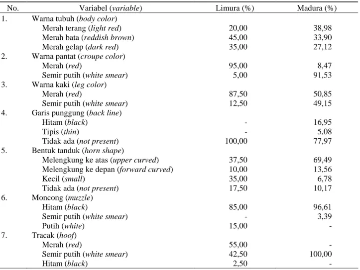 Tabel 1. Perbandingan karakteristik eksterior antara sapi silangan Limura dengan sapi Madura (exterior  characteristic comparison between Limura crossbred and Madura cow) 
