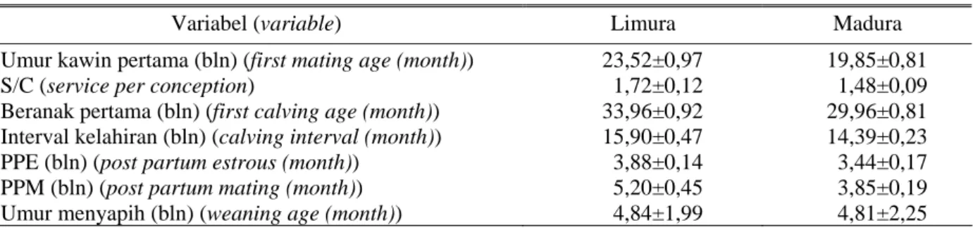 Tabel 4. Rata-rata dan standard error kinerja reproduksi sapi silangan Limura dan sapi Madura di Kabupaten  Sumenep dan Pamekasan (mean and standard error of reproductive performance of Limura crossbred and 