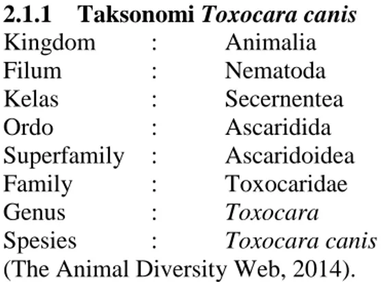Gambar 2. Telur Toxocara  canis yang tidak berembrio. Dikutip dari Cherles Hendrix  dalam buku diagnostic parasitology for veterinary technicians 