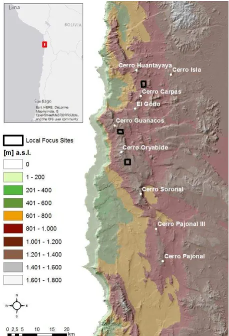 Figure 1. Study area in the coastal Atacama Desert, Chile. The 