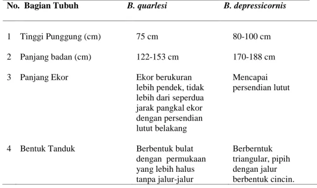 Tabel 1. Karakteristik Anoa Dataran Tinggi (B. quarlesi) dan Anoa Dataran Rendah  (B. depressicornis)