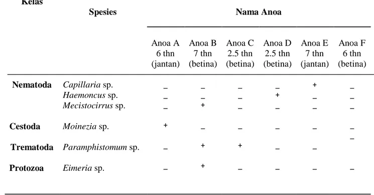 Tabel 4.  Daftar  Anoa  Daftar  Anoa  di BP2LHK Manado yang terinfeksi parasit 