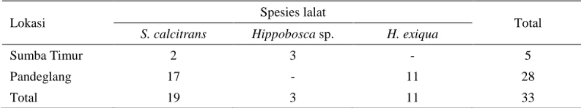 Tabel 3.  Hasil  identifikasi  lalat  haematophagus  yang  ditangkap  di  Kabupaten  Sumba  Timur  (NTT)  dan  Kabupaten Pandeglang (Banten) 